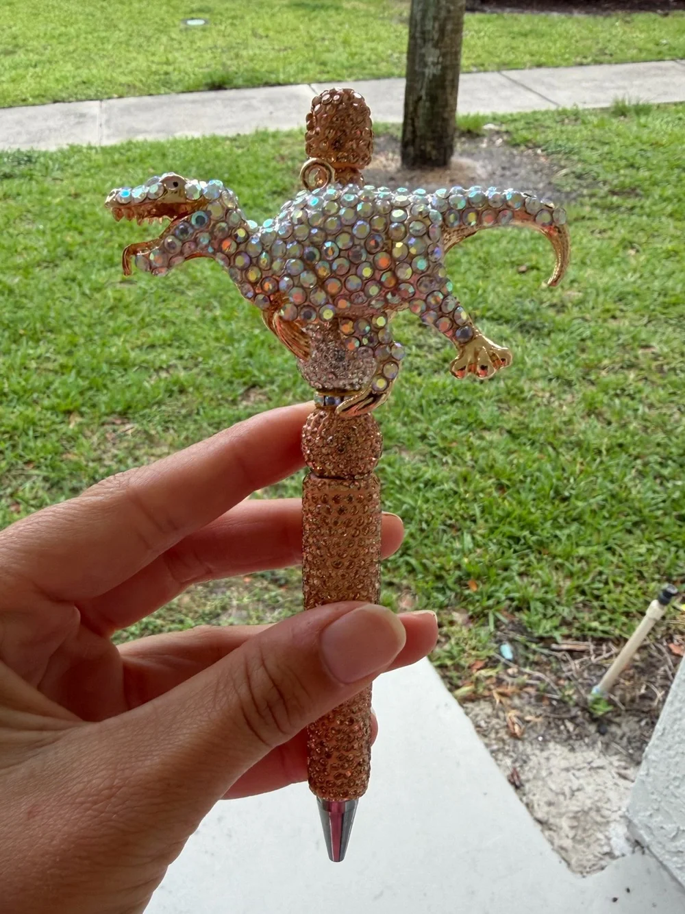 Dinosaur pen - Picture 1 of 2
